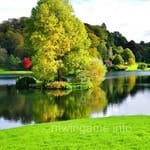 Reviewer Ammar Hussain