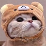 Reviewer Shoaib Rafiq