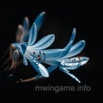 Reviewer Waleed Khan